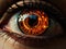 Closeup Dark Amber Eye with Halo - AI Generated
