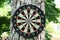 Closeup of a dartboard hanging on a tree trunk