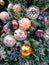 Closeup of a decorated Christmas tree.