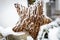 Closeup of decorative star made of twigs covered by hoarfrost