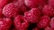 Closeup delicious vitamin-filled and healthy harvest of fresh raspberries, rotation. Juicy and sweet bunch of farm-grown