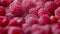 Closeup delicious vitamin-filled and healthy harvest of fresh raspberries, rotation. Juicy and sweet bunch of farm-grown
