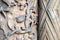 Closeup detail of geometrical and floral patterns carved in stone at the entrence to the gothic cathedral in Wroclaw, Poland