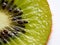 closeup detail kiwi fruit on white background