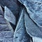 Closeup and detail on a pile of frosted dead leaves in a forest undergrowth in winter