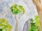 Closeup Detail of Single Tree and Clouds in Watercolor and Colored Pencil Painting of Forest