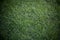 Closeup detail of texture in green grass lawn