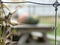 Closeup Detail of a Wire Trellis with Open Seed Pods in Autumn