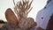 Closeup details basket full of fresh bread the baker man holding in front of the camera in the middle of the wheat