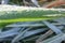 Closeup of dew drops on plant leaves shimmering in the morning sunlight