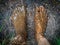 Closeup of dirty feet after a dip in healing peat bog