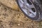 Closeup of a dirty tire driving through a muddy and unpaved rural road, leaving depressed tread marks. A damp path during the