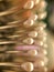 Closeup of dirty used hairbrush with visible dandruff and knots of hair in teeth, hygiene concept