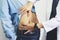 Closeup of Doctor examines or treatment the man with shoulder pain or neck pain on white background,Health concept