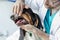 Closeup of doctor examining dog\'s teeth at veterinary clinic