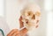 Closeup on doctor pointing on teeth of human skull