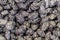 Closeup of dried black plums closeup shot texture background