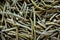 Closeup of dried rosemary organic