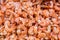 Closeup dried shrimp