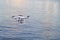 Closeup on drone flying over river background