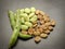 Closeup of dry and fresh broad beans seeds Vicia faba and  fresh picked raw broad beans in the pod on wooden table