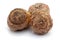 Closeup of Dry Tubers of Amarkand fruits, isolated on white background.