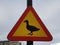 Closeup of a ducks crossing sign
