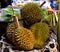 Closeup of Durian, famous stinking fruit, in a market in Bali