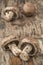 Closeup edible raw mushrooms on a wooden table