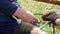 Closeup of electrician hands, tools and wires. insulation of electrical wire. 4K