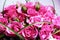 Closeup of Elegant bouquet of pink roses in bloom