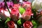 Closeup of Elegant bouquet of pink roses in bloom