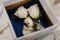 Closeup of an elegantly designed white bouquet resting in a white box with a blurry background