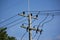 Closeup Eletricity line in blue sky background