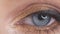 Closeup eye with makeup