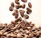 Closeup of falling or flying coffee beans on white