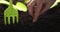 Closeup of farmer hands putting seeds in the ground, on the background a garden tools. Agriculture