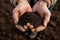 Closeup of Farmer holding fertilizer soil in the agricultural field.