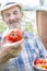 Closeup of farmer holding fresh tomato at farm