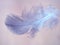 Closeup feather with soft pink background ,macro image ,abstract background