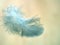 Closeup feather with soft pink background ,macro image ,abstract background