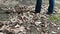 Closeup of feet, lower legs, and rake cleaning up wet fallen dead leaves on a patio, in slow motion