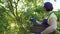 Closeup female in blue apron and gardening gloves harvesting apples in fruit garden