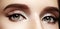 Closeup female eyes with bright make-up, great shapes brows, extreme long eyelashes. Celebrate makeup, luxury eyeshadows