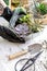 Closeup female florist designer hands holding succulents glass florarium botany art composition