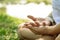 Closeup of female hands put in yoga mudra. Woman is meditating