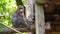 Closeup of a female mandrill sitting on a wooden beam, vulnerable primate specie from africa