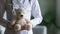 Closeup female paediatrician in white coat holding stuffed toy bear