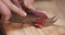 Closeup female slicing thin salami sausage