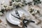 Closeup of festive table setting with black cutlery, white rose flowers, silk ribbons, porcelain dinner plate and